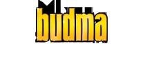Logotyp targów: BUDMA 2015 - Międzynarodowe Targi Budownictwa