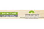 Logotyp targów: DREMASILESIA 2017