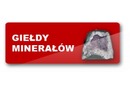 Logotyp targów: XI Wystawa i Giełda Minerałów,Skał,Skamieniałości i Wyrobów Jubilerskich SKARBY ZIEMI
