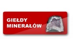 Logotyp targów: XI Wystawa i Giełda Minerałów,Skał,Skamieniałości i Wyrobów Jubilerskich SKARBY ZIEMI