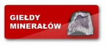 Logotyp targów: XI Wystawa i Giełda Minerałów,Skał,Skamieniałości i Wyrobów Jubilerskich SKARBY ZIEMI